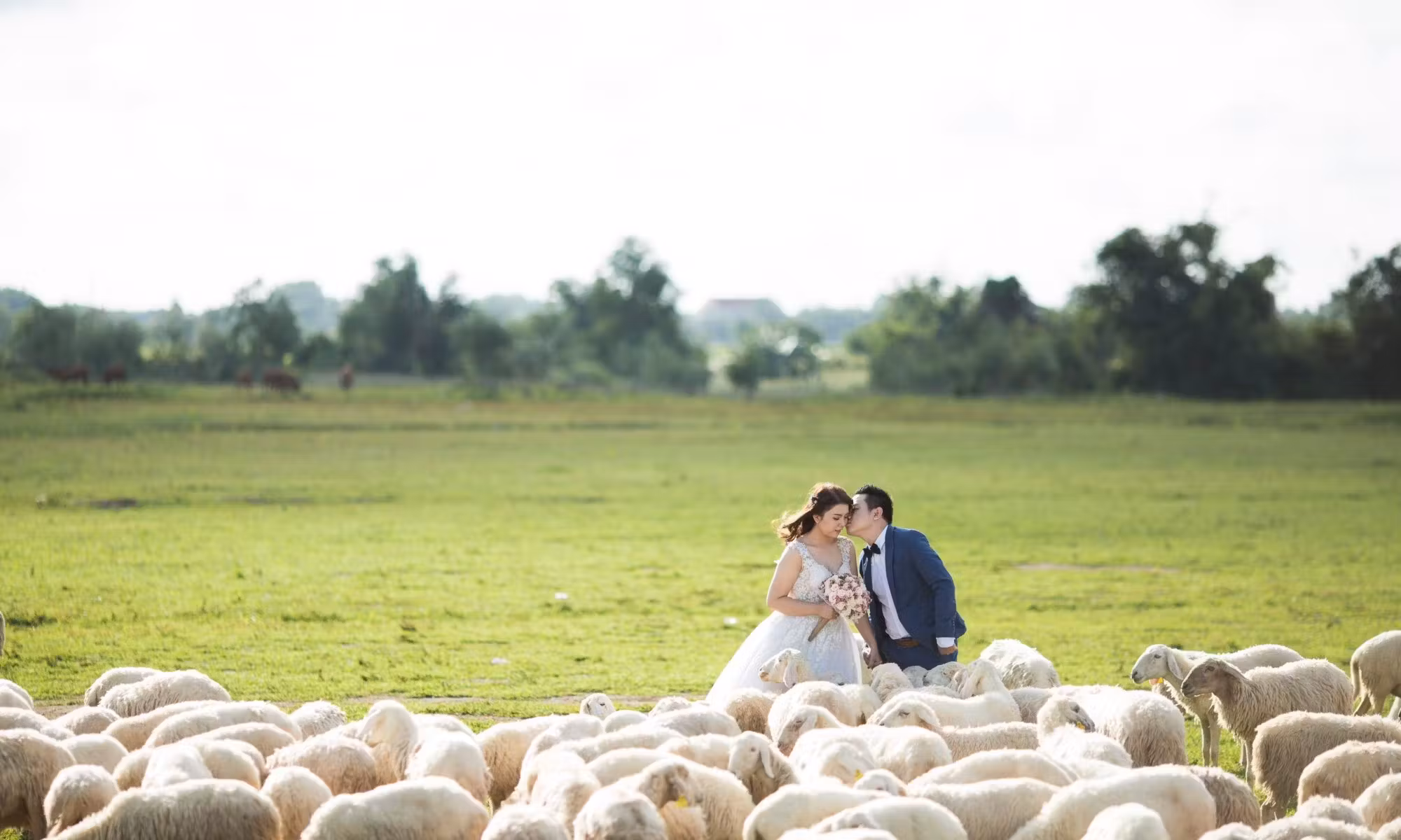 78380773 d544 45af 9c41 1ef8491f268a 5d5df8b1 3c85 4a7a 83e5 b233c50e8a64 orio nguyen 267265 unsplash 2000x1200 1