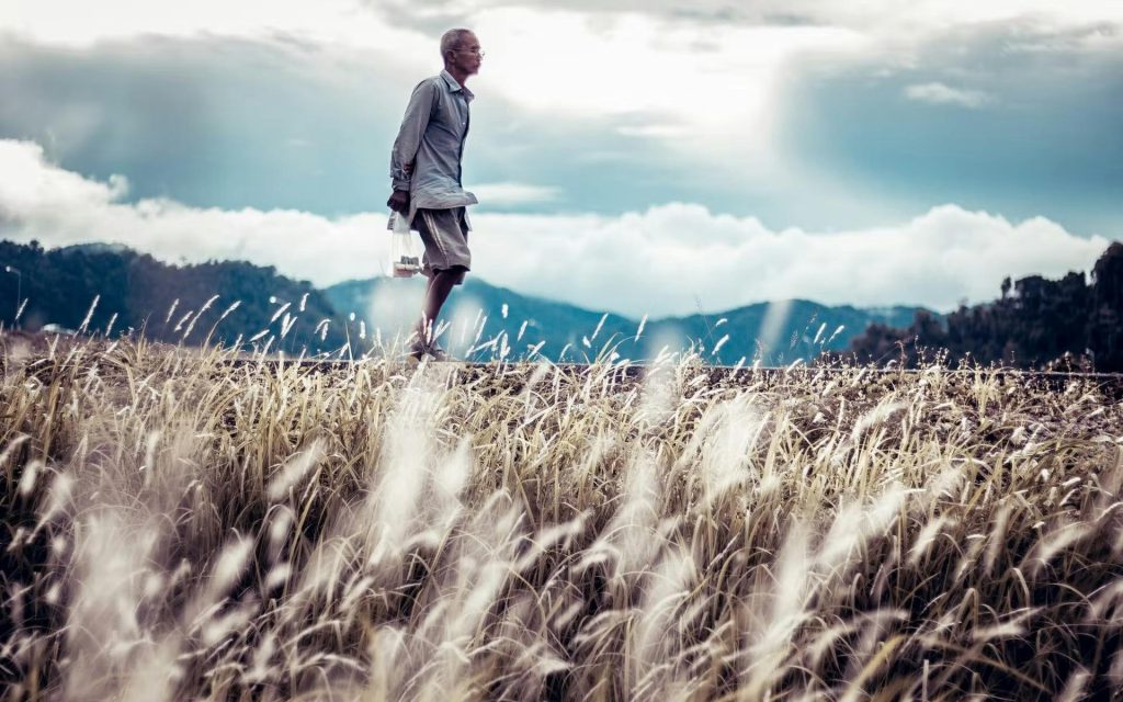 Leave PE and ED in 2020