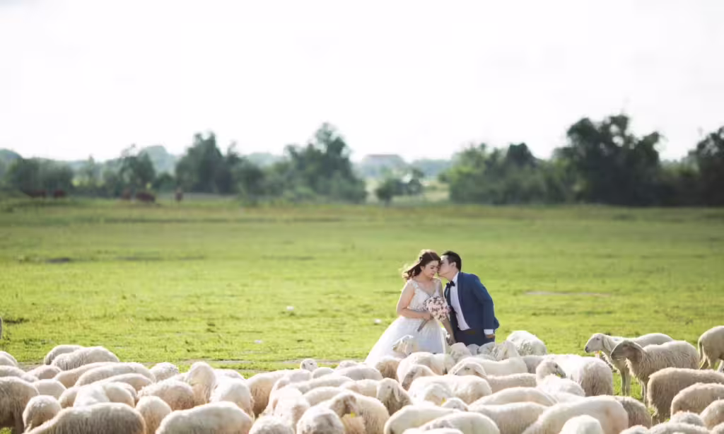 78380773 d544 45af 9c41 1ef8491f268a 5d5df8b1 3c85 4a7a 83e5 b233c50e8a64 orio nguyen 267265 unsplash 2000x1200 1